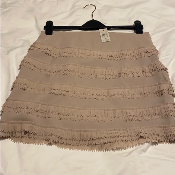 Ann Taylor skirt, tags on - Picture 3 of 4